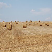 Unsere Öffnungs- und Schließzeiten von August bis Oktober 2025